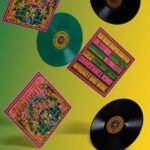 Vinyl Dubyouth (2)
